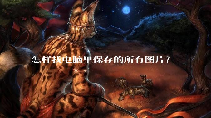怎样找电脑里保存的所有图片？