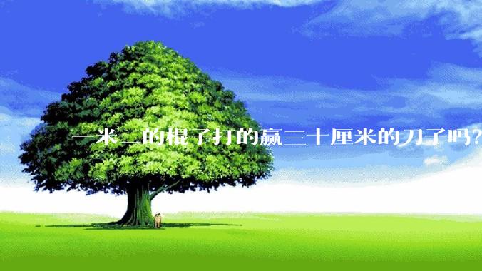 一米二的棍子打的赢三十厘米的刀子吗？