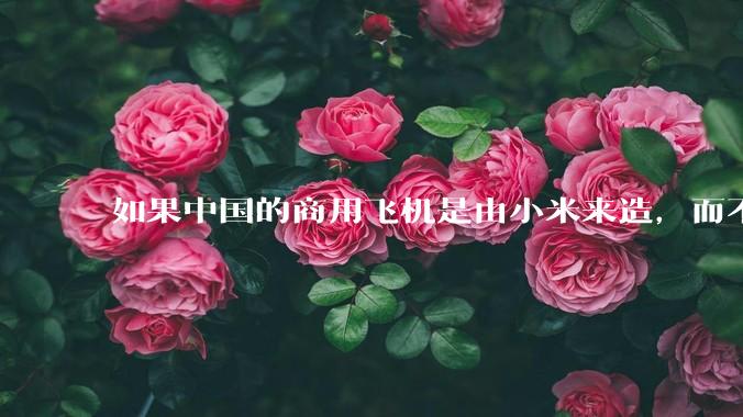 如果中国的商用飞机是由小米来造，而不是中国商飞，现在会是怎样的情况？